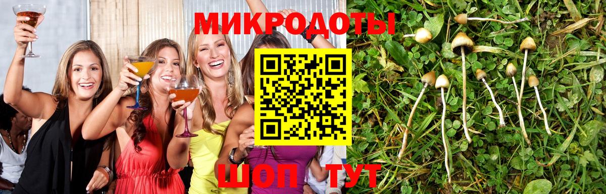Галлюциногенные грибы MAGIC MUSHROOMS Ногинск