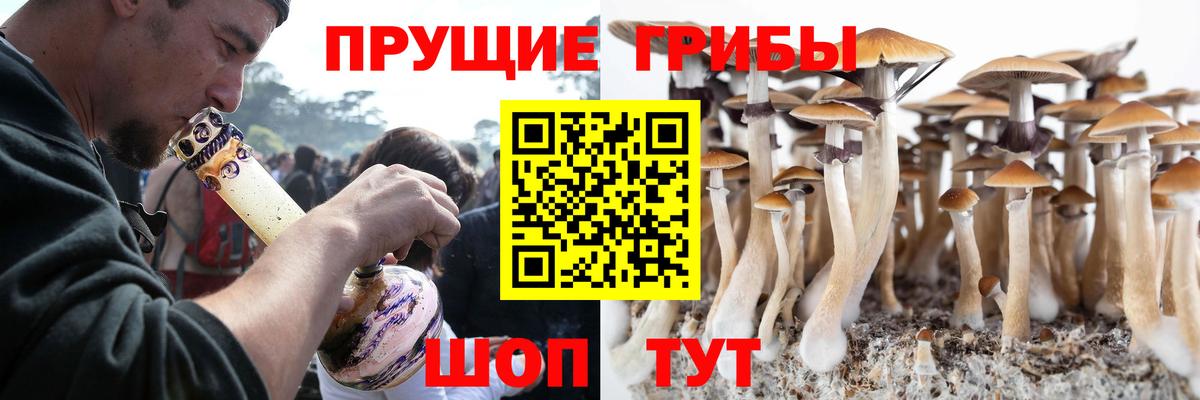 Псилоцибиновые грибы мухоморы  купить наркоту  Ногинск  Вход с VPN 